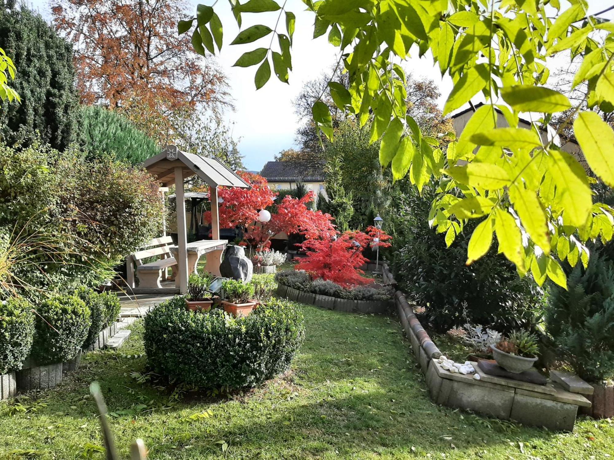 Gaestehaus Guter Stern 巴特施泰本 外观 照片
